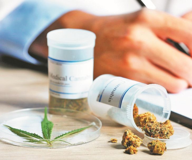 2020_08_02_marihuana_cedocperfil
