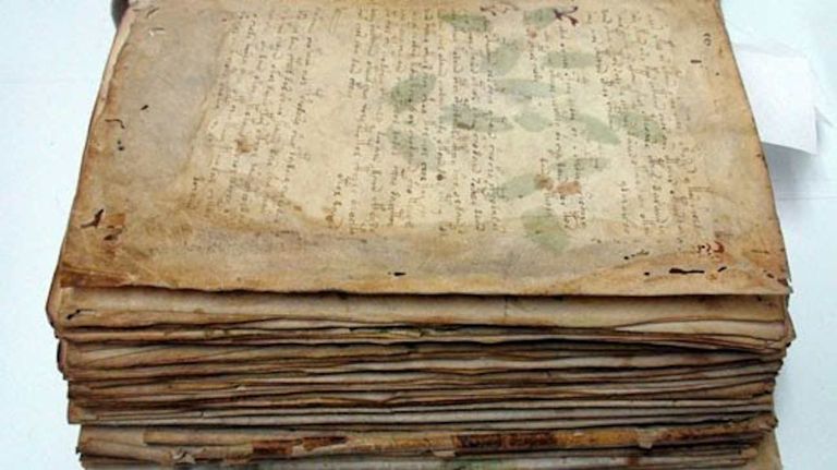 Códice Voynich 20230821