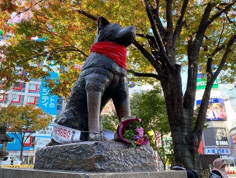 Hachiko
