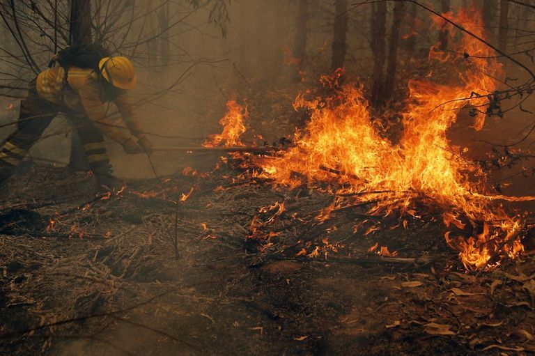 Incendios en Chile 20230204