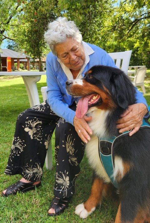 Perros y tercera edad