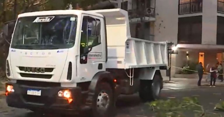 Cayó un árbol y aplastó dos autos 20230505