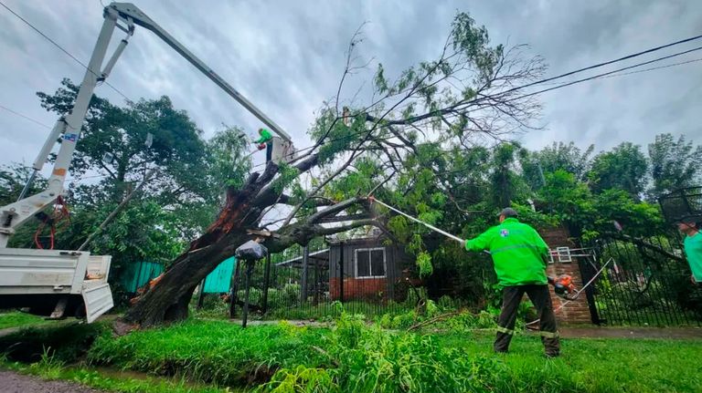 Destrozos por el temporal en Pilar