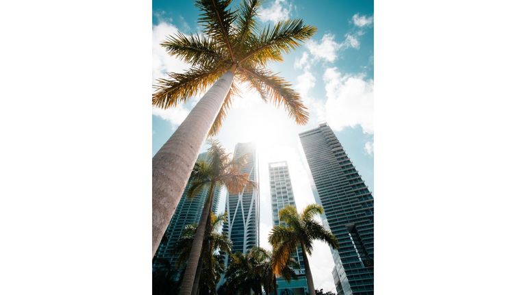Miami 20221211