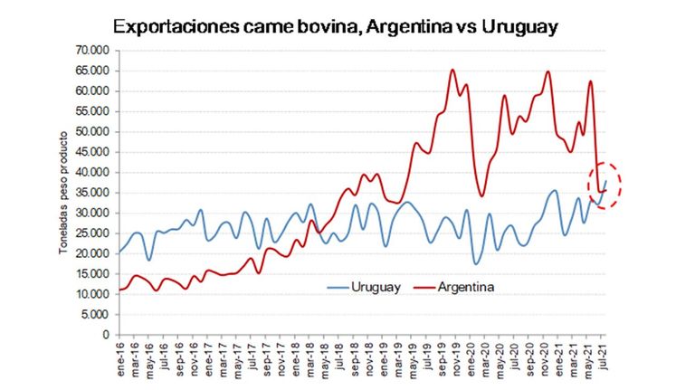 GRAFICO 20210824