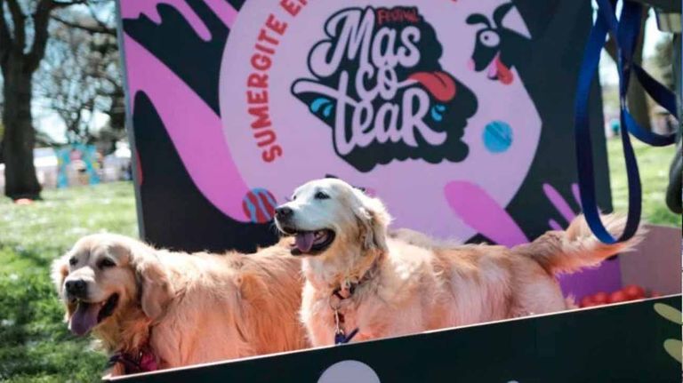 La Ciudad impulsa una ley para que cada perro y gato tenga un número único de identificación