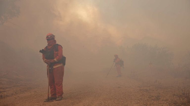 California incendio forestal Mountain Fire 20241108