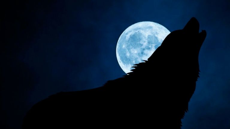 Luna de Lobo Astronomía