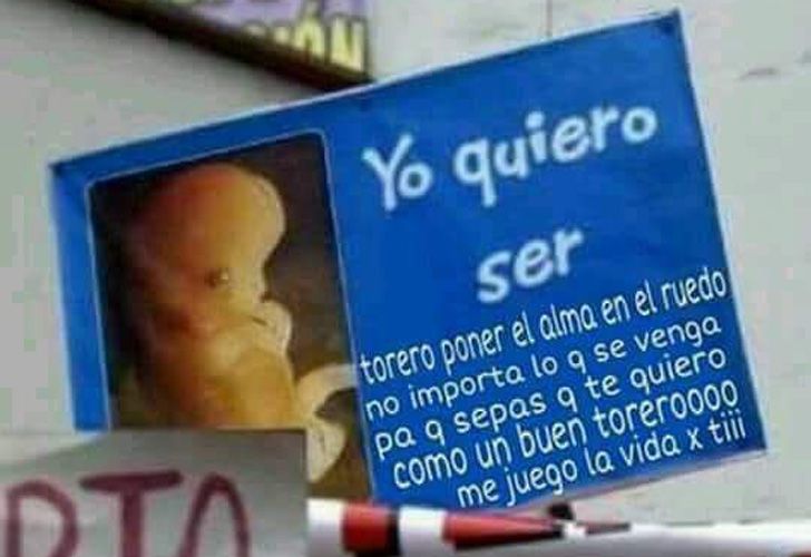 Los memes del