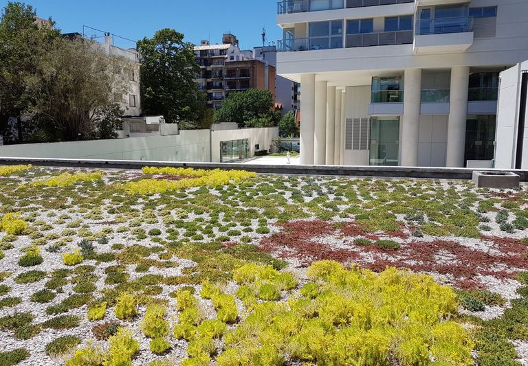 Techos verdes y jardines verticales