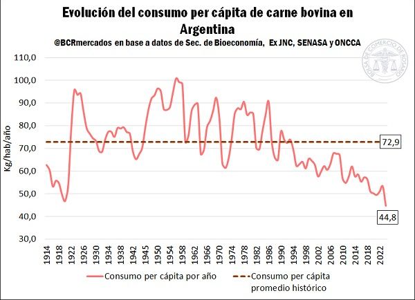 consumo de carne bovina julio 2024 histórico