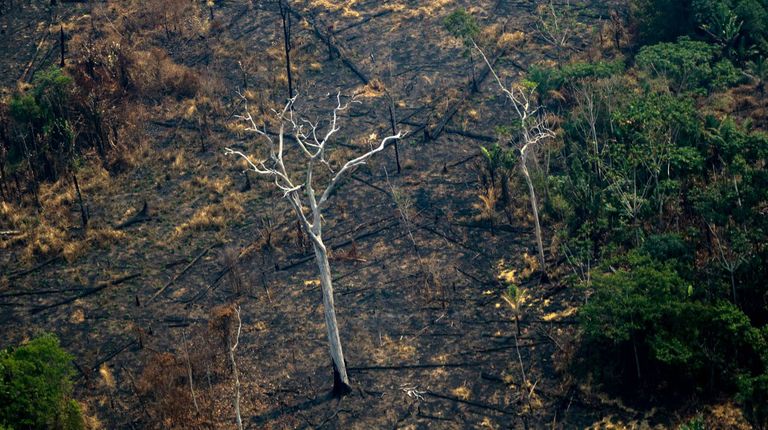incendio amazonia brasil afp
