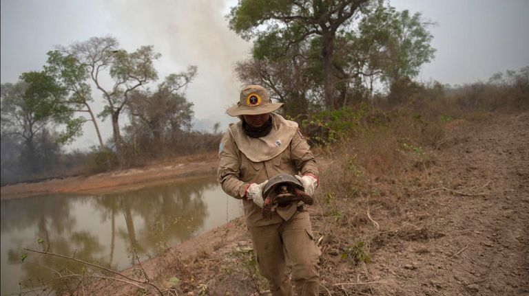 Incendios en Amazonas y Pantanal Brasil 20201015