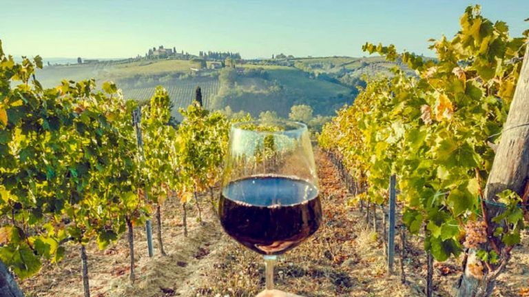 Vinos