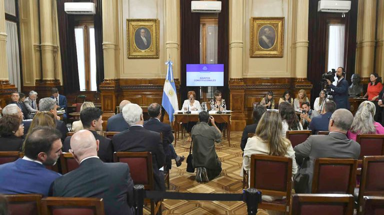 Senado el proyecto de Ficha Limpia 20250219