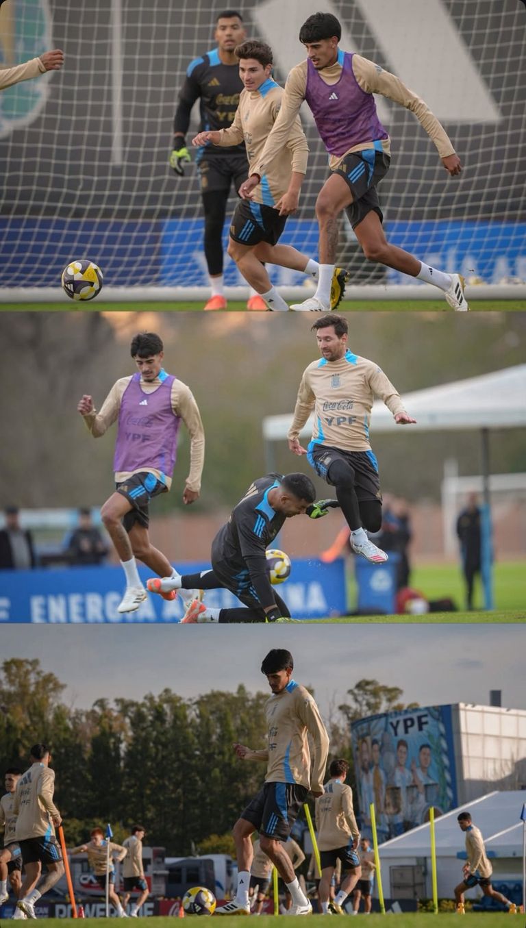 Troilo de selección