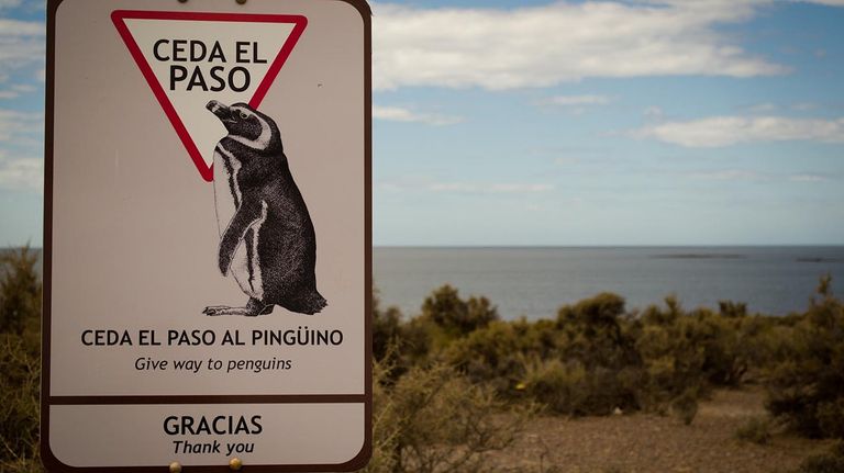 el estrés que causamos a los animales 20210211