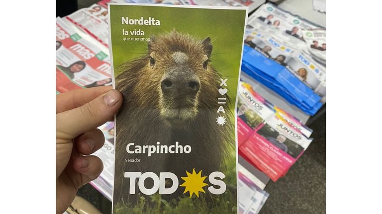 Voto nulo