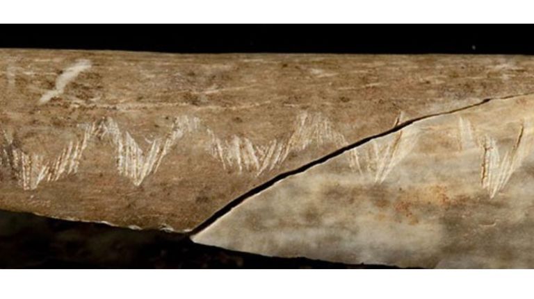 Caníbales en la Edad de Piedra