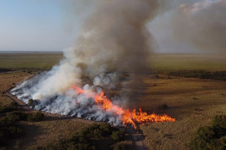Incendios en Corrientes afp