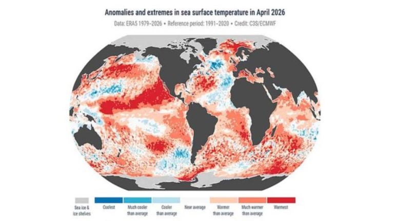 el niño