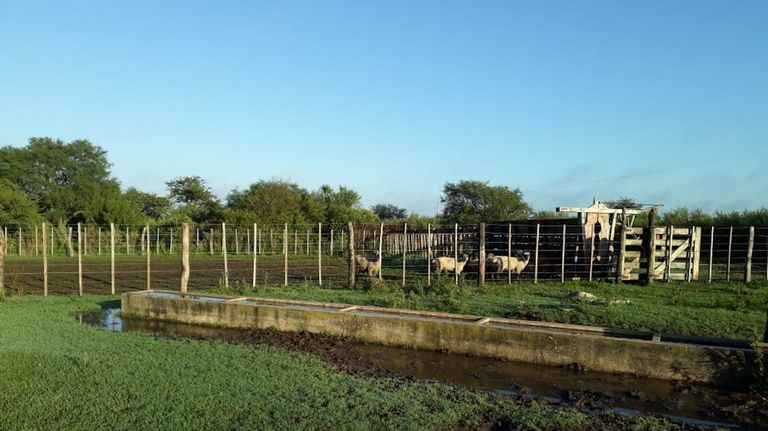 Colonia Productiva Guardamonte