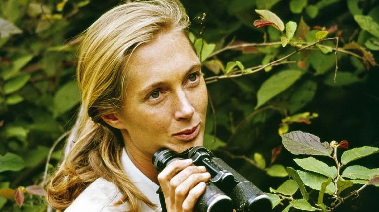Jane Goodall
