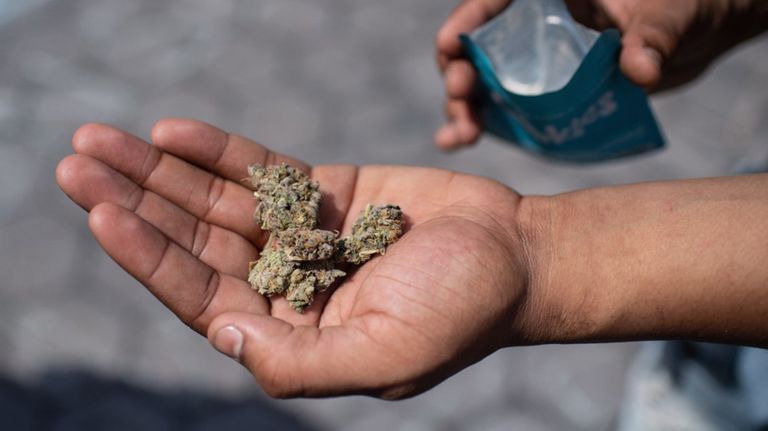 Nueva York Vacuna Marihuana