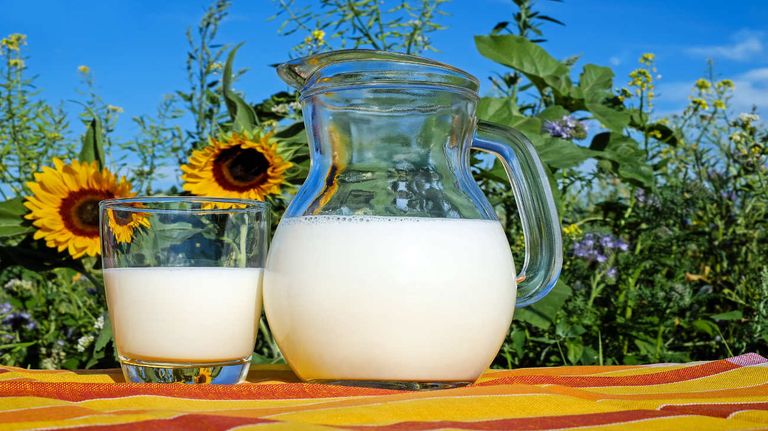 Alimentos ricos en vitamina D 20240426