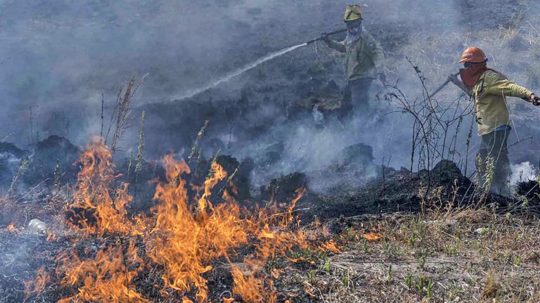 20220219_fuego_incendio_corrientes_telam_g