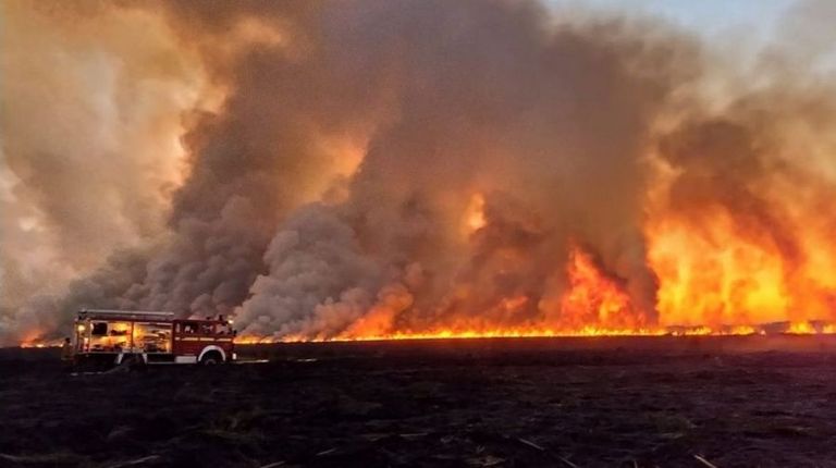 Incendios delta Parana Entre Rios
