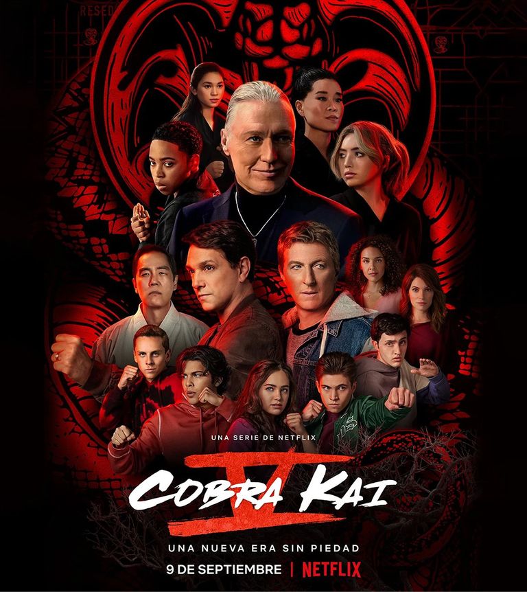 Netflix series