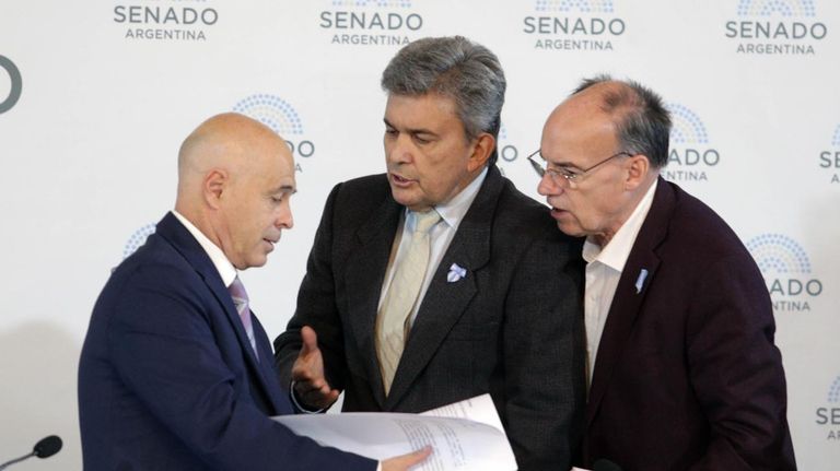 Debate en el Senado por la Ley Bases