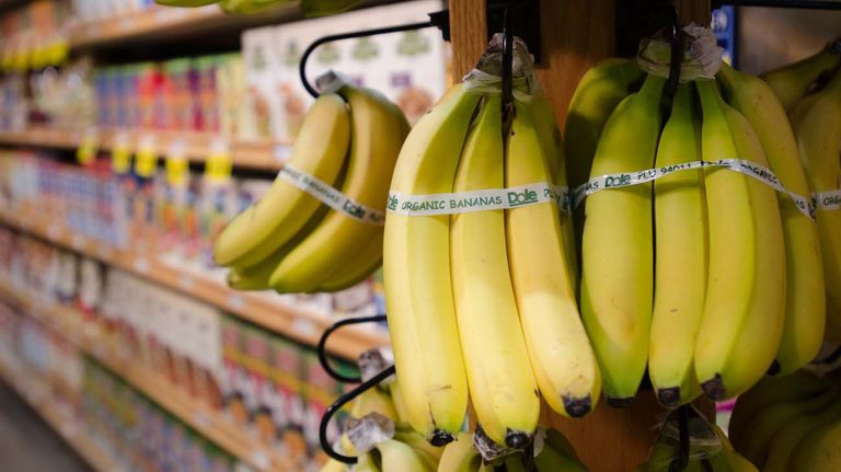 Bananas 20230513