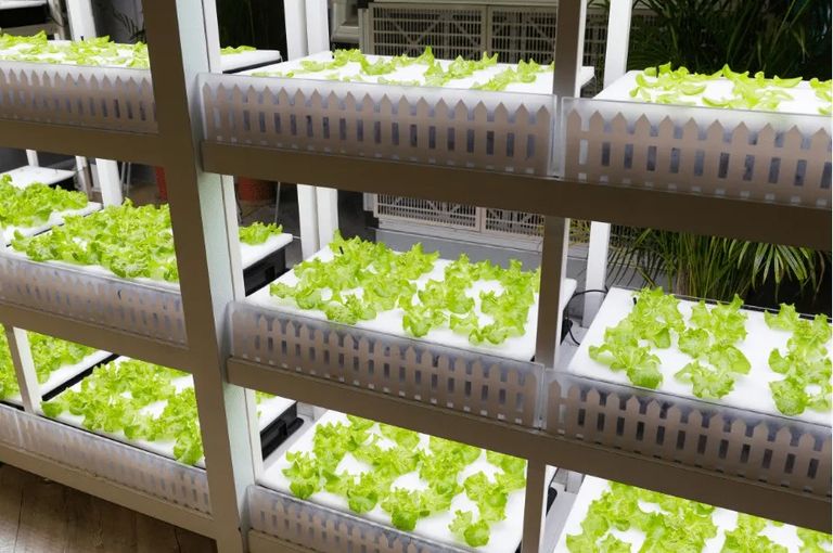 Loopfarms