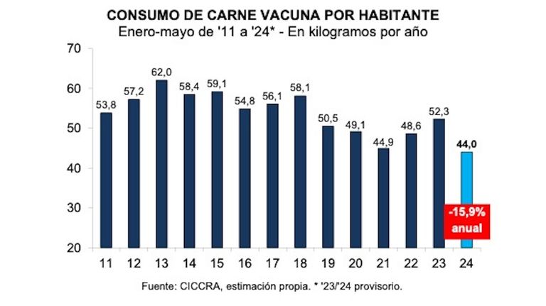 consumo de carne vacuna mayo 2024