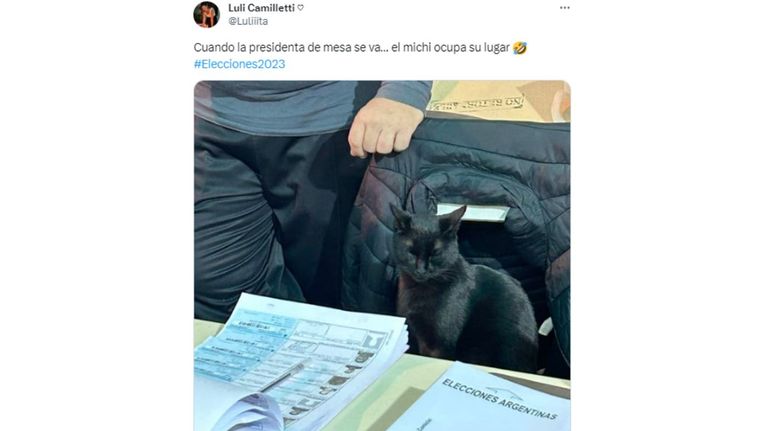 Memes de las PASO
