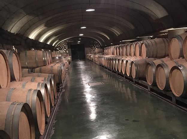 Bodegas