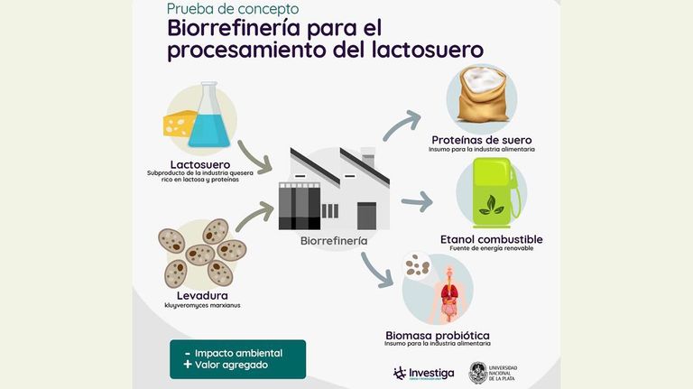 infografía 20210526