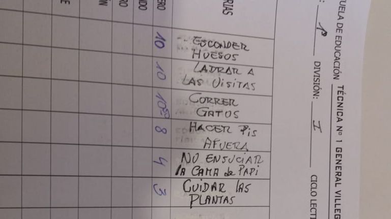 perra boletin 09182019