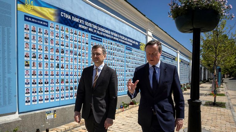 David Cameron en Ukrania