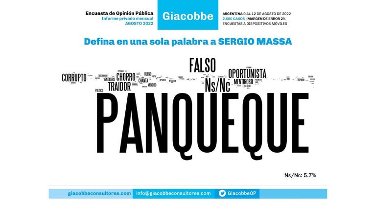 Encuesta de Opinión pública 20221114