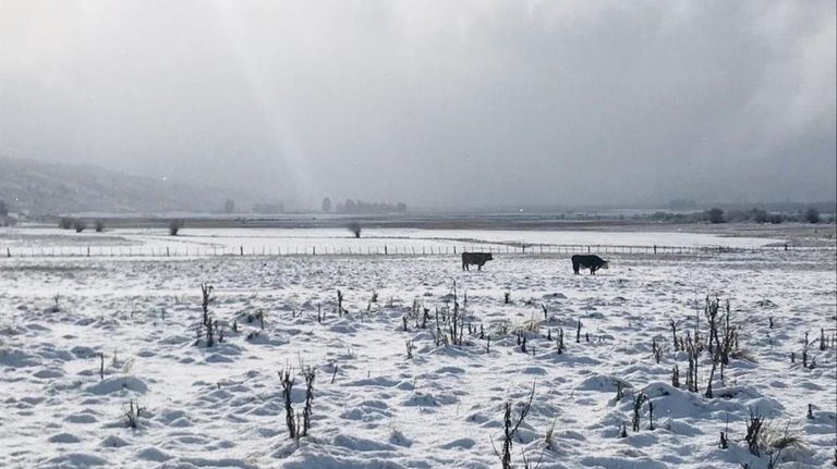 nieve sur g_20200723