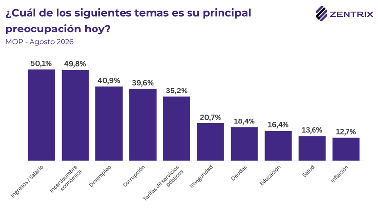 Principales temas de preocupación. 