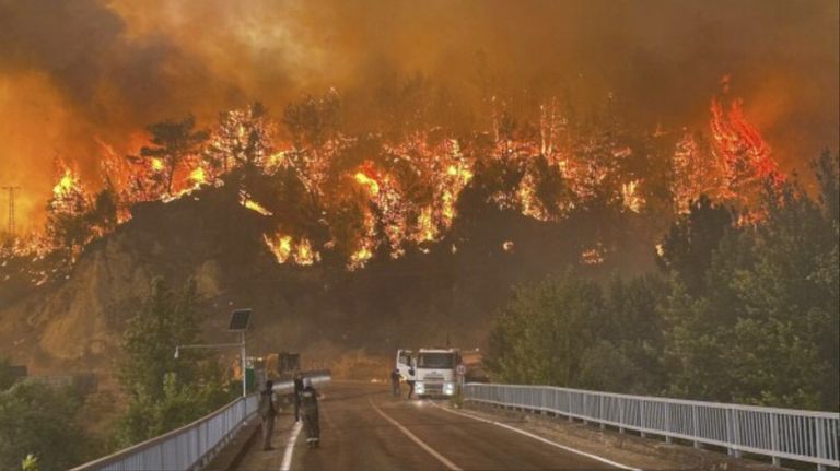 Incendio forestal en turquía