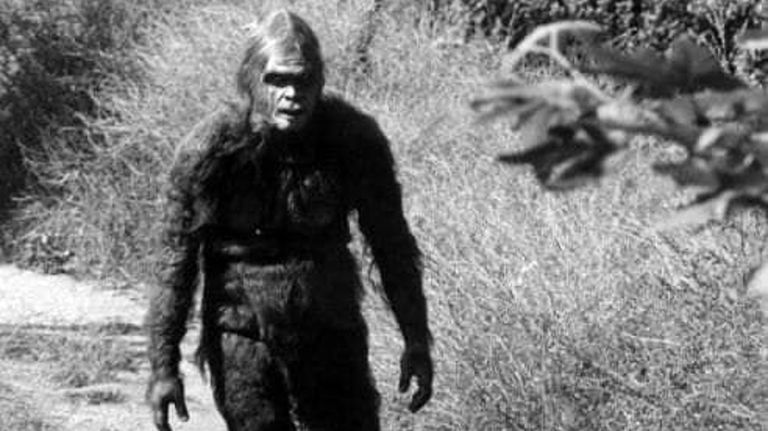 Las leyendas que se tejen en el norte sobre el 'Ucumar' lo muestran como