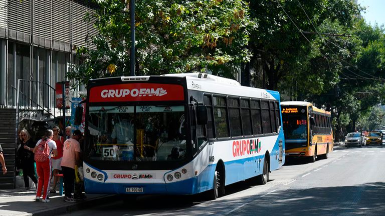 Colectivo Grupo FAM