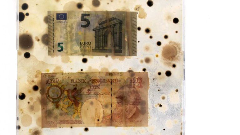 Borderless Bacteria / Colonialist Cash