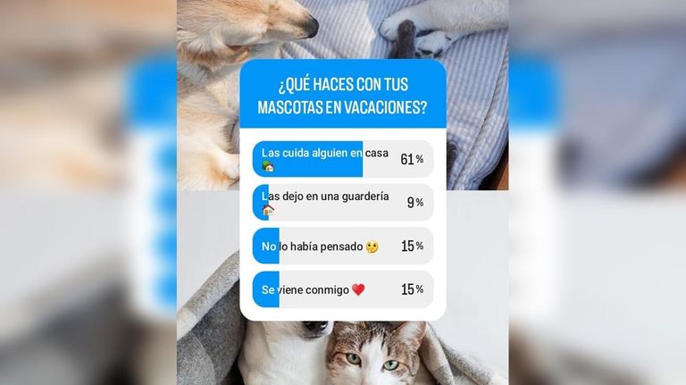 Mascotas
