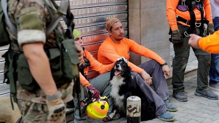 Explosión en Beirut-perro rescatista-flash